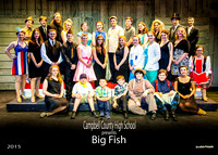 DL_150430-CAST