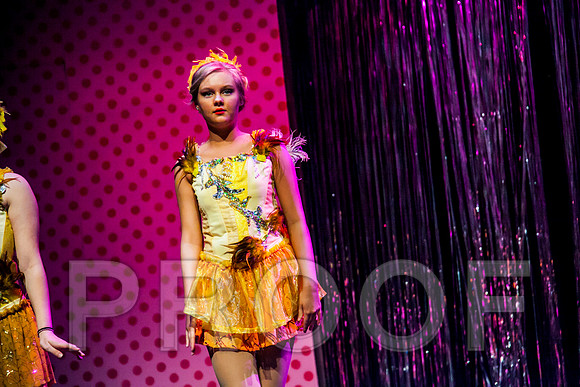 DL_160420_1313