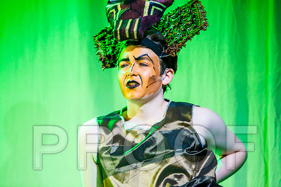 DL_160223_0796