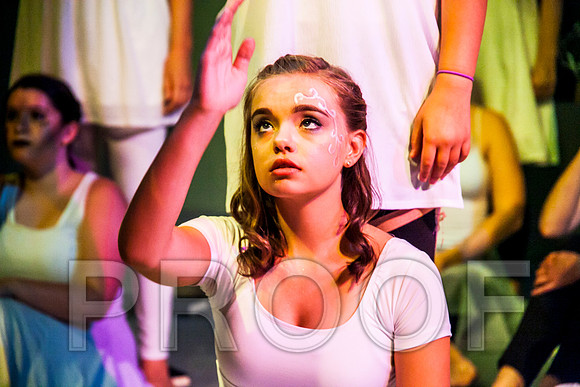 DL_160803_0068