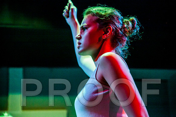 DL_160803_0369