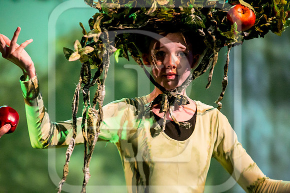 DL_170509_4762