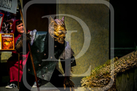 DL_171025_1685