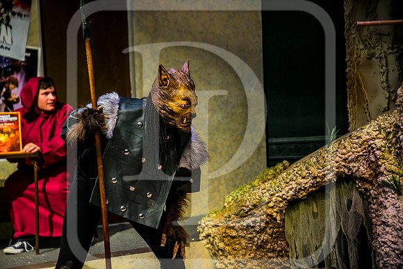 DL_171025_1686