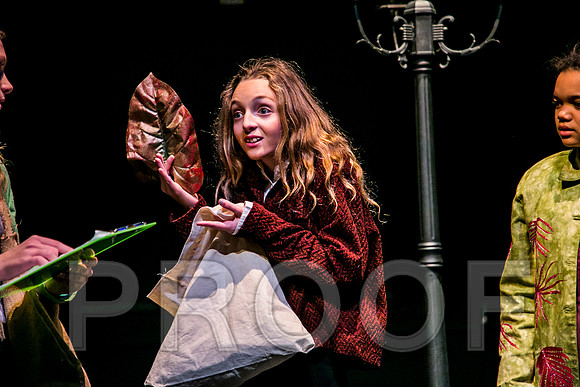 DL_171129_0085