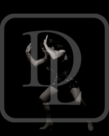 DL_231109_0316-bw