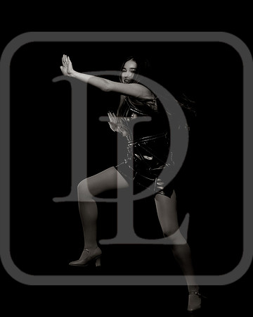 DL_231109_0318-bw