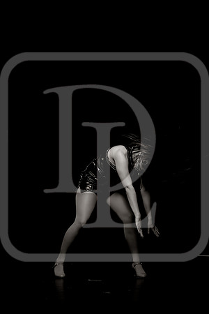 DL_231109_0446-bw